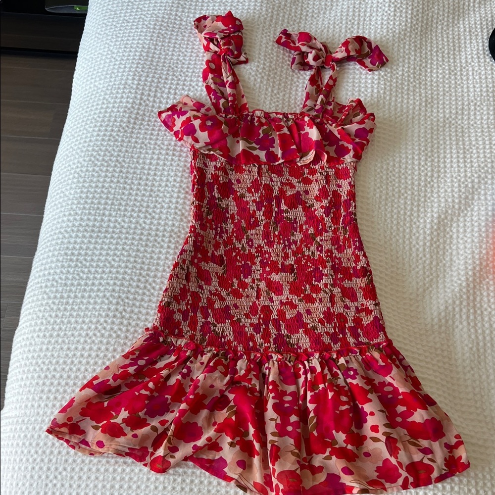 TCEC Red and Pink Floral Mini Dress